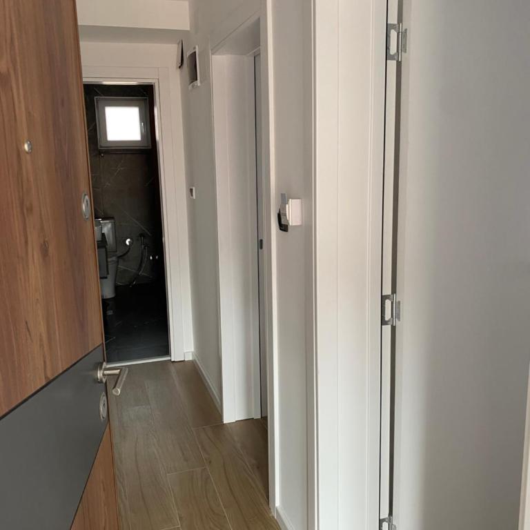 Apartmani Lazarevic Jagodina - Deluks Apartman sa 1 Spavaćom Sobom - 6
