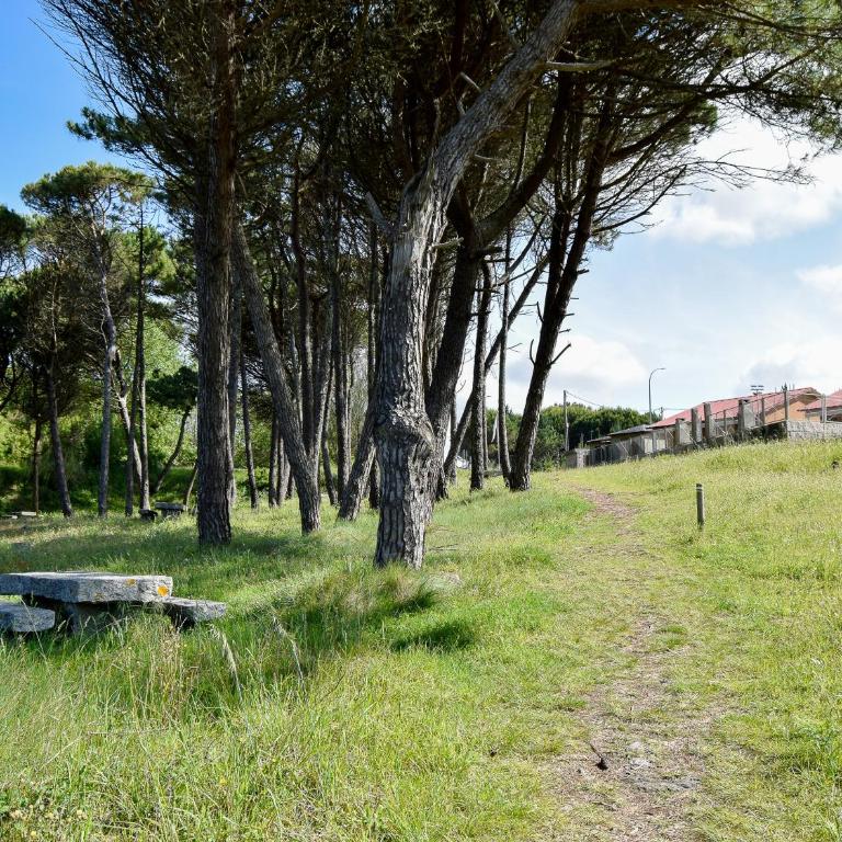 Bungalows Barbeito Natur 3000 - Standard Bungalow - 25