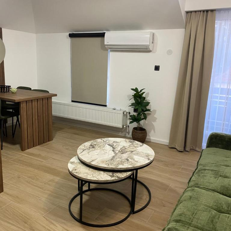 Apartmani Lazarevic Jagodina - Deluks Apartman sa 1 Spavaćom Sobom - 15