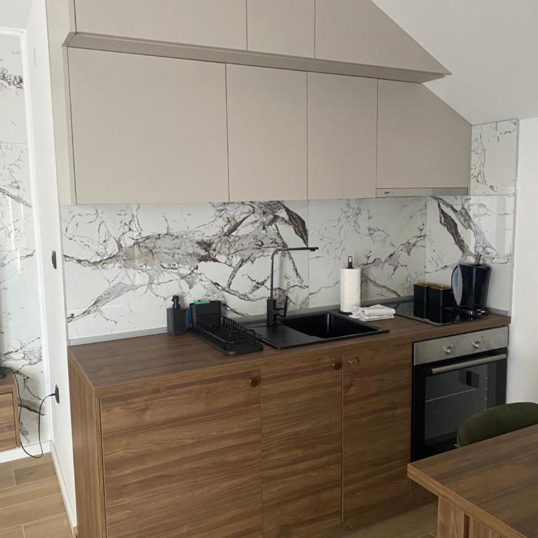 Apartmani Lazarevic Jagodina - Deluks Apartman sa 1 Spavaćom Sobom - 20