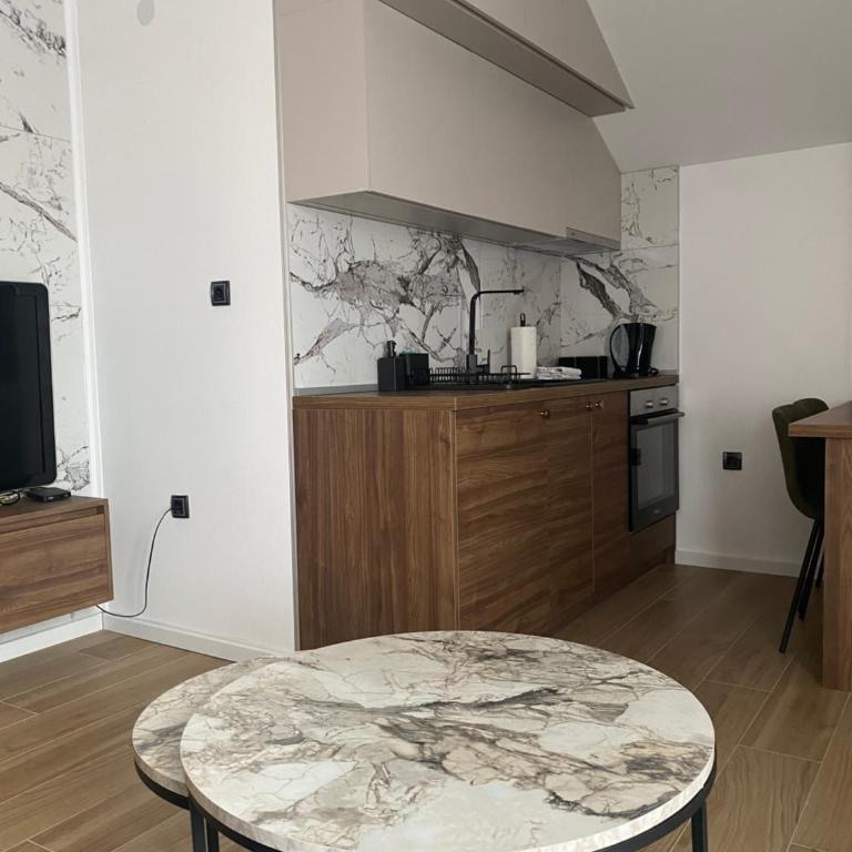 Apartmani Lazarevic Jagodina - Deluks Apartman sa 1 Spavaćom Sobom - 21