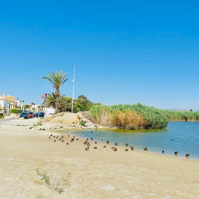 Apartamento Flamingo en Laguna Beach - Apartamento de 2 dormitorios - 39