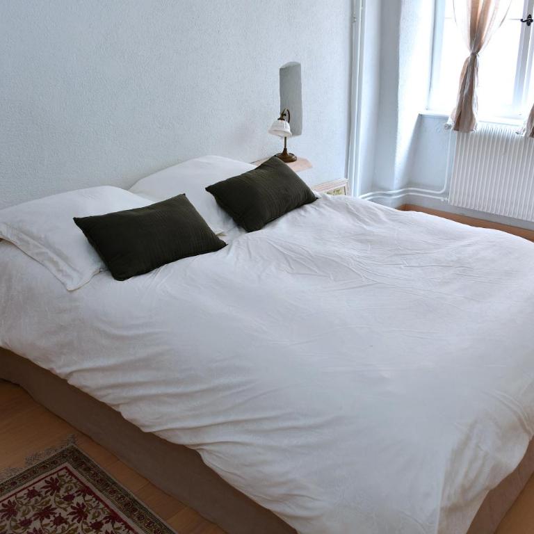 L'harmonie des Tanneurs - Appartement 2 Chambres - 28