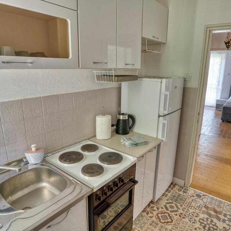 Baka Zlata Apartments - Apartman s 2 Spavaće Sobe sa Balkonom i Terasom - 15