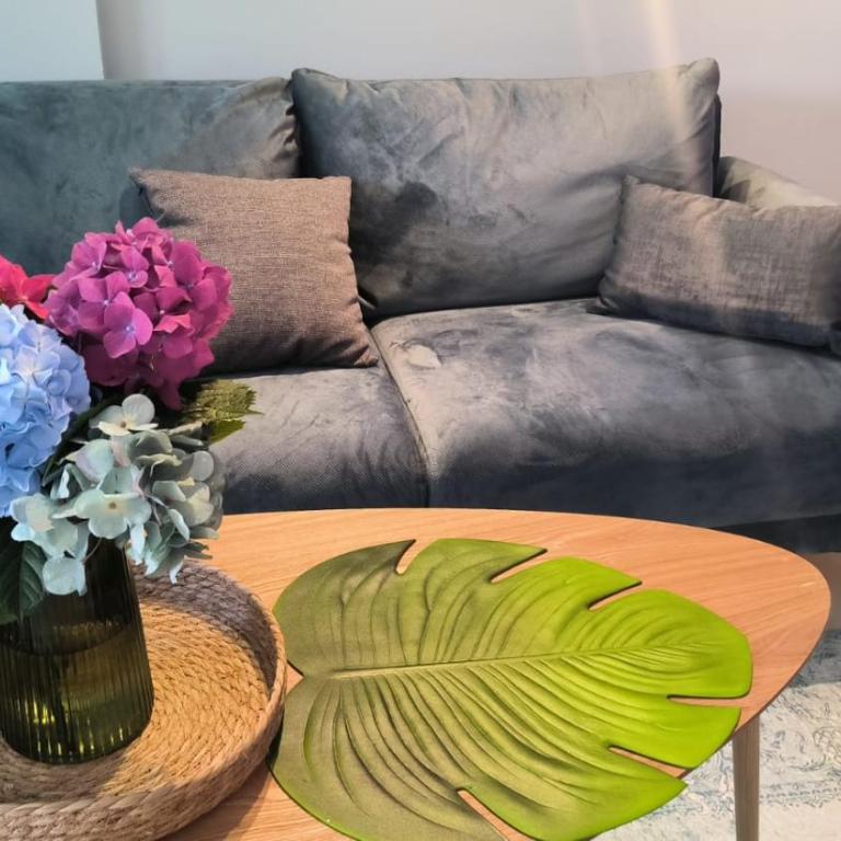 Center Blue & Green - Three-Bedroom Apartment - 42