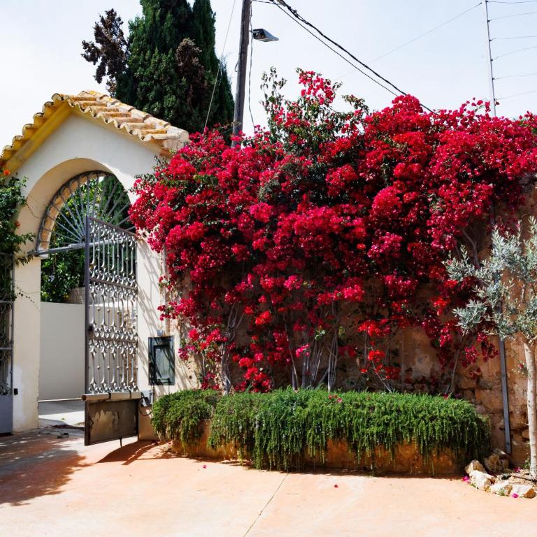 Villa Gamundi 6 - Casa - 38