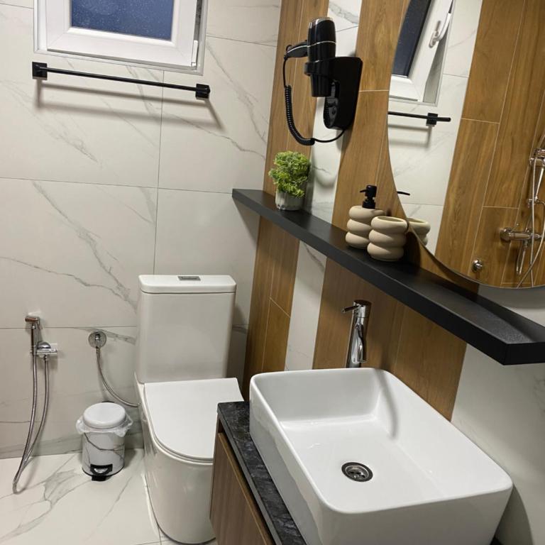 Apartmani Lazarevic Jagodina - Deluks Apartman sa 1 Spavaćom Sobom - 26