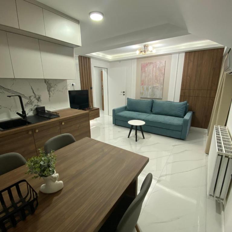 Apartmani Lazarevic Jagodina - Deluks Apartman sa 1 Spavaćom Sobom - 13