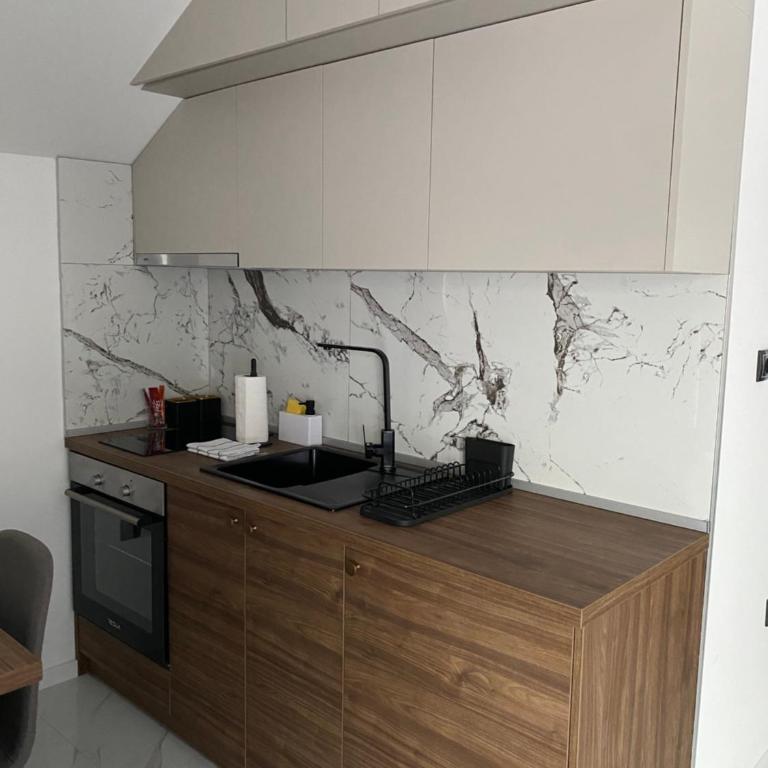 Apartmani Lazarevic Jagodina - Deluks Apartman sa 1 Spavaćom Sobom - 17