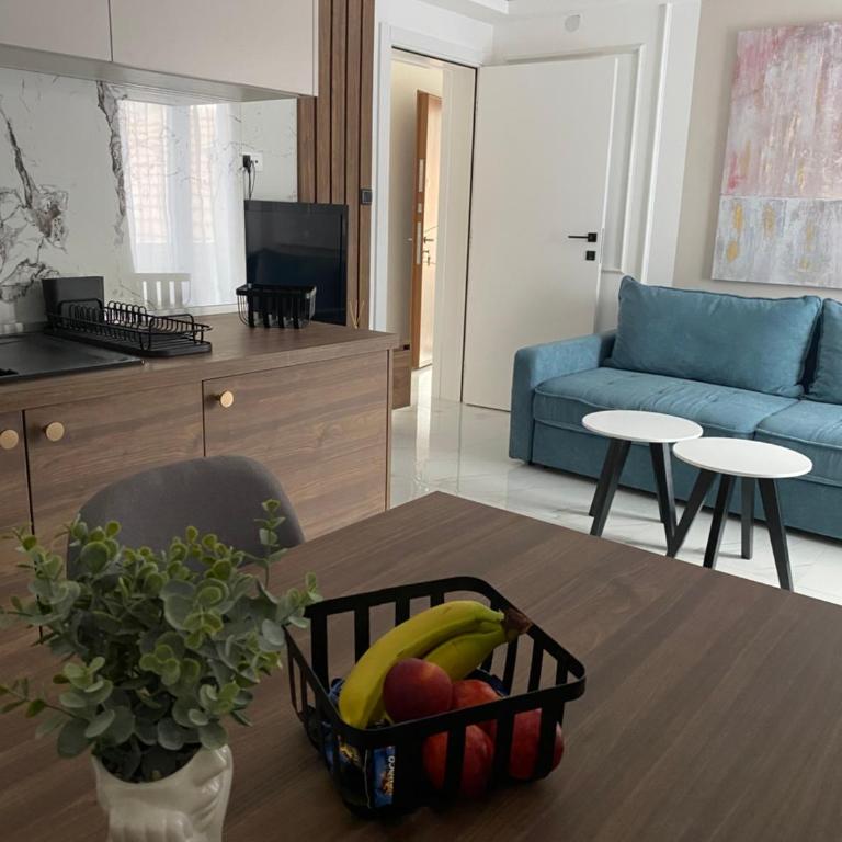 Apartmani Lazarevic Jagodina - Deluks Apartman sa 1 Spavaćom Sobom - 14