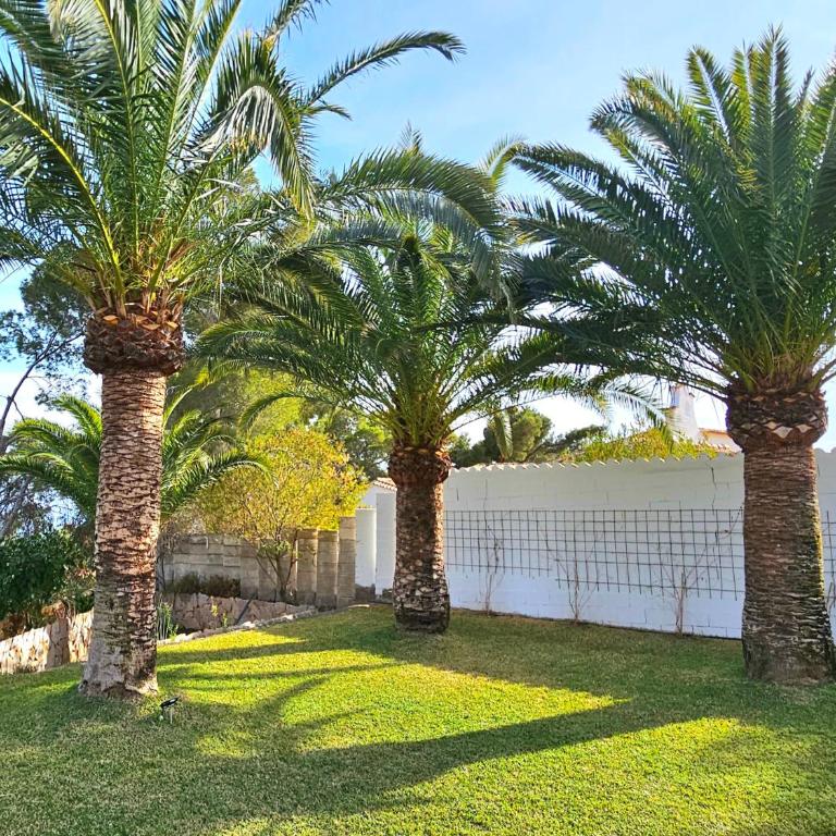 Casa Lilo - Elite Costa Blanca - Villa de 3 dormitorios - 41