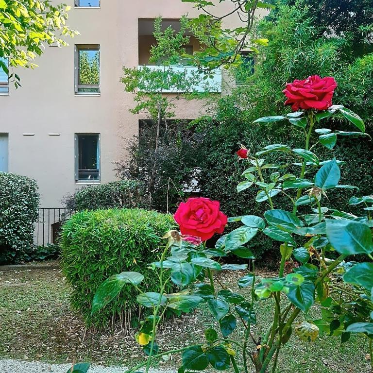 Studio avec terrasse et jardin - Appartement 1 Chambre - 14