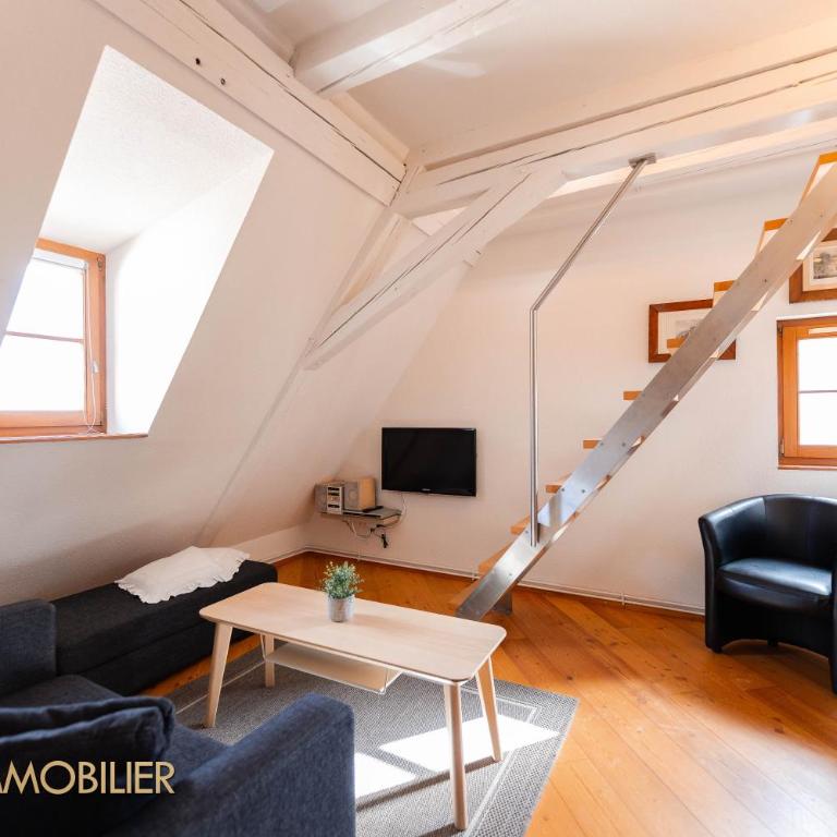 Au Bonheur des Anges Appartement duplex - Appartement 1 Chambre - 4