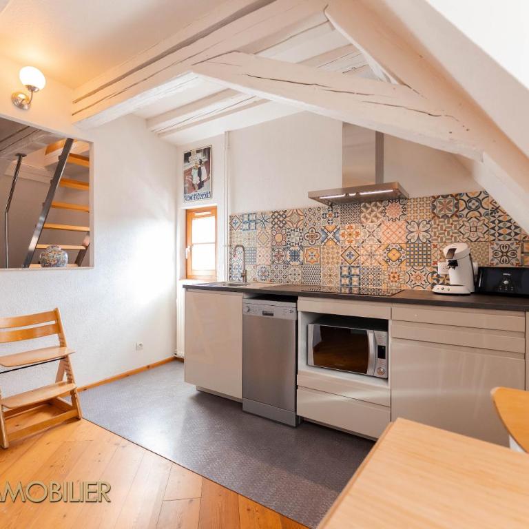 Au Bonheur des Anges Appartement duplex - Appartement 1 Chambre - 6
