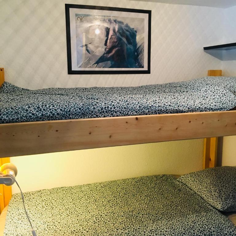 Lumineux Appartement 2 Alpes - Apartamento de 1 dormitorio - 5