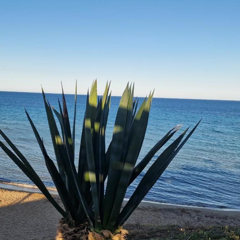 Villa zefiro - Casa Vacanze - 19