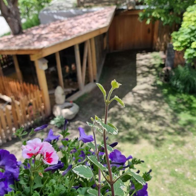 Appartements Schusterhof - Appartamento con 1 Camera da Letto - 24