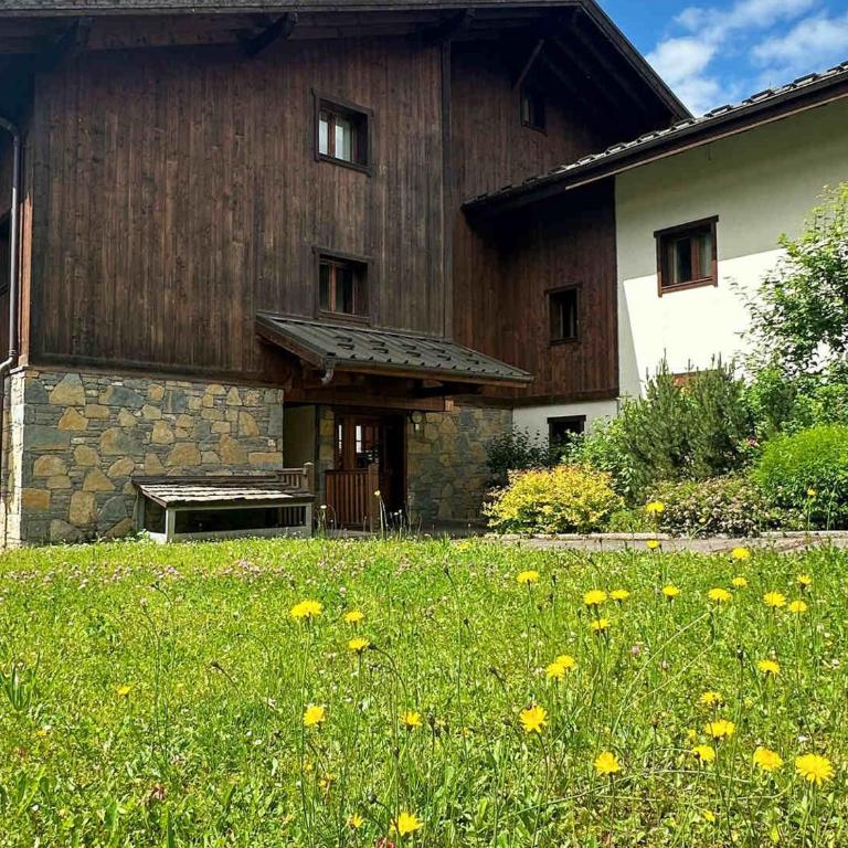 Appartement T2 avec grande terrasse et animaux acceptés - FR-1-624-105 - Apartment - 7