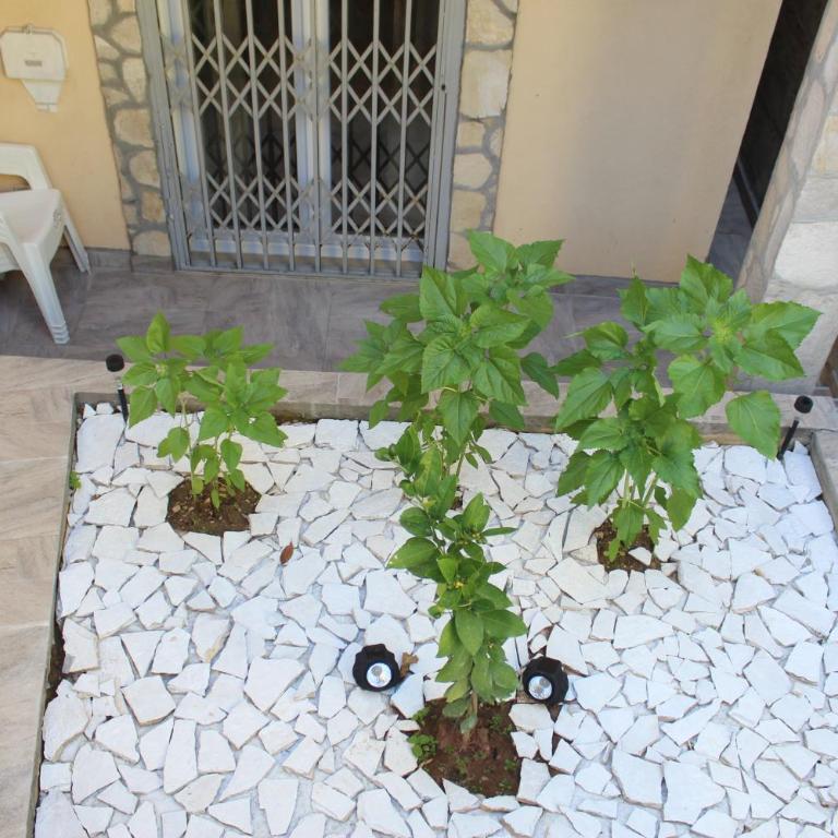 Mostar House - Three-Bedroom House - 35