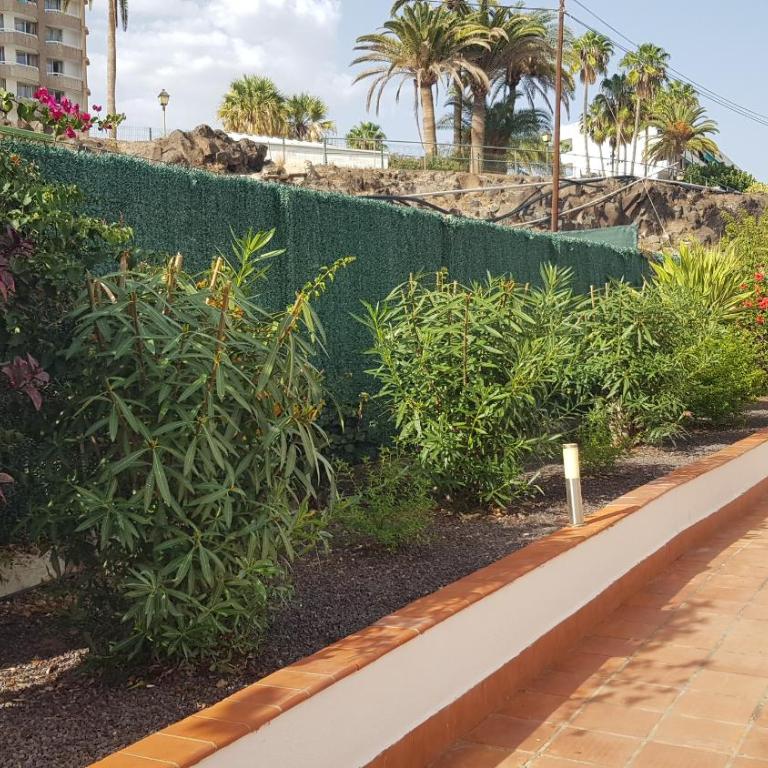 Michelle Apartment 20 Sur y Sol Los Cristianos - Apartamento de 2 dormitorios con terraza - 30