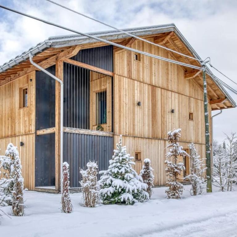 Grand chalet récent avec Jacuzzi, ski au pied - Chalet - 29