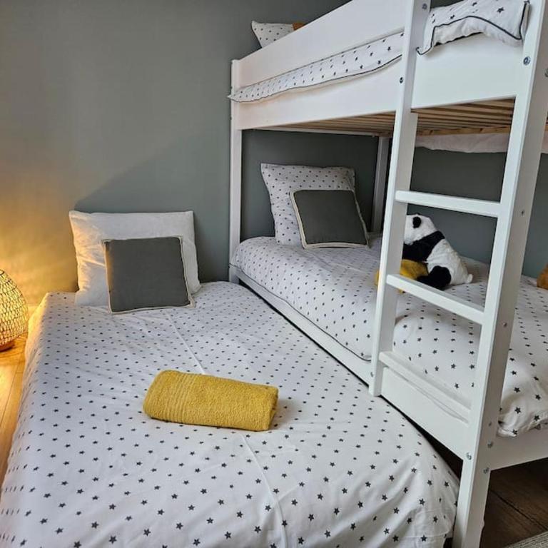 Cœur St Aignan - Zoo de Beauval - Appartamento con 3 Camere da Letto - 28