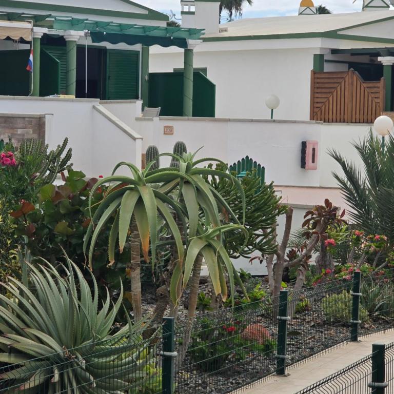 The Sunflower - Apartamento de 2 dormitorios - 38