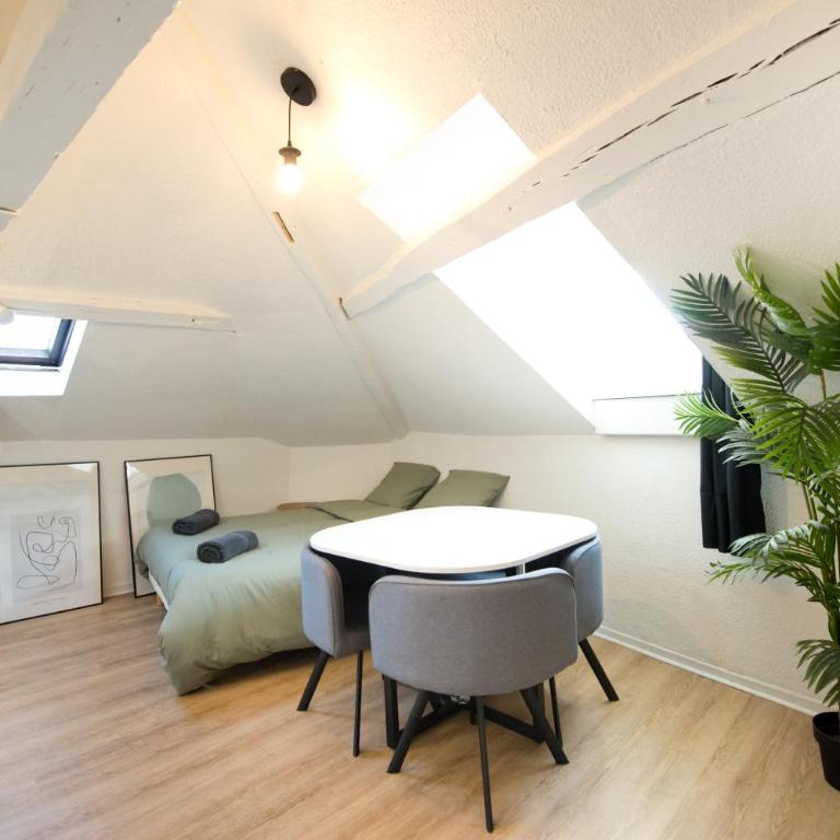 Le Cocon : studio en Hypercentre Cathédrale - Appartement 1 Chambre - 5