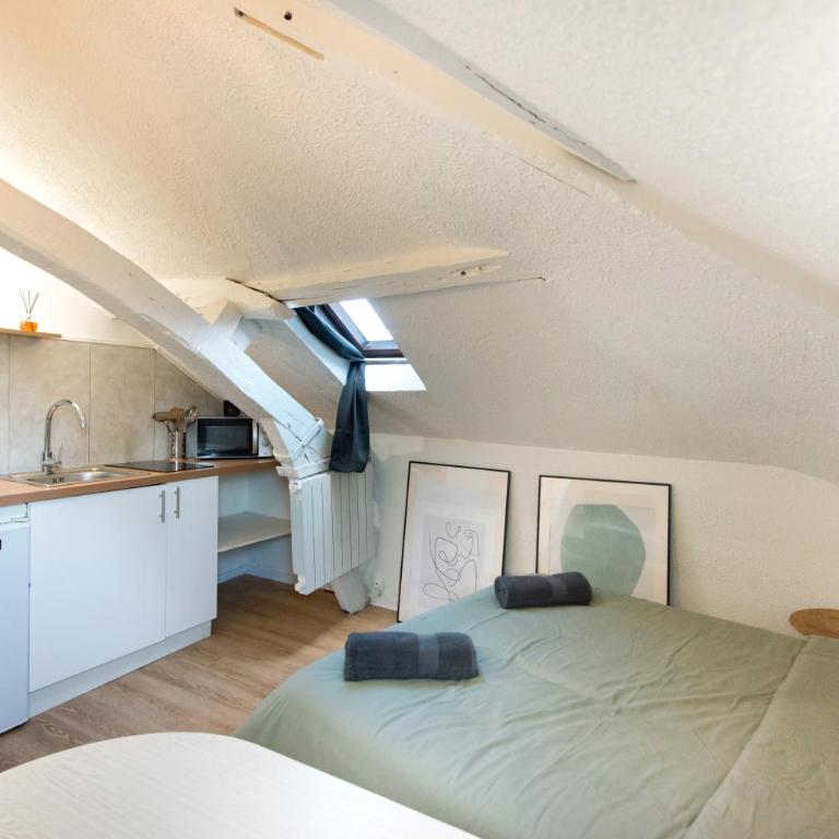 Le Cocon : studio en Hypercentre Cathédrale - Appartement 1 Chambre - 3