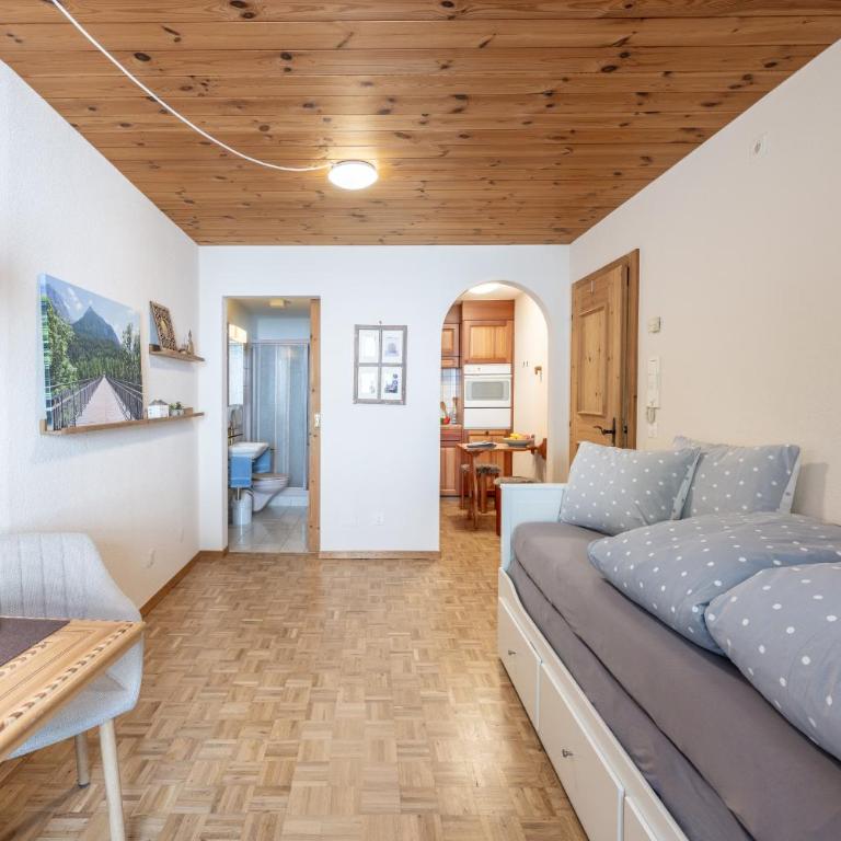 Chasa Vi Studio - Apartment mit 1 Schlafzimmer - 4