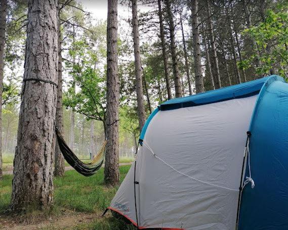 Camping Caravaning Cuenca - Parcela estándar (coche + tienda propia) - 3