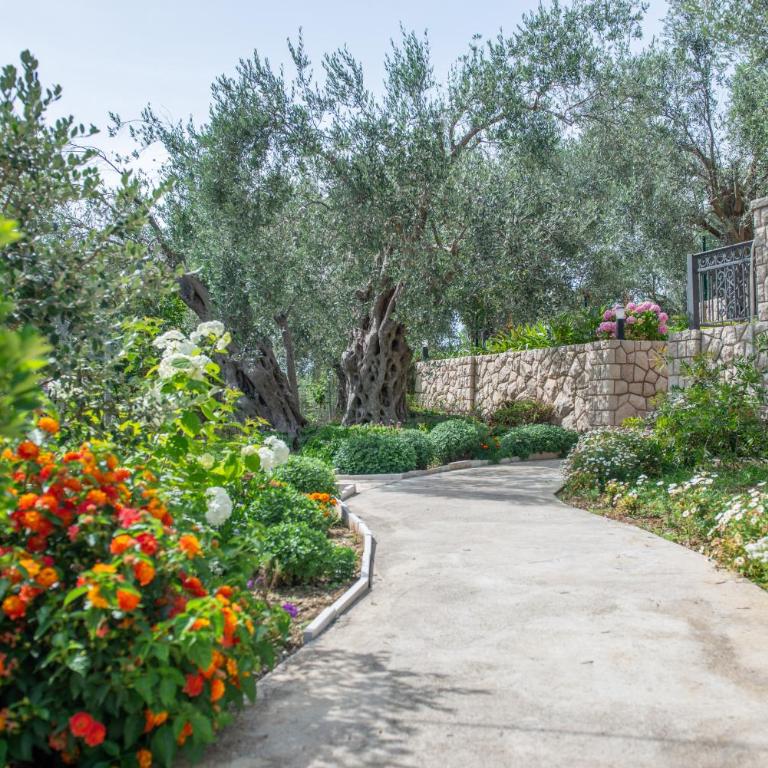 Rustic Olive House - Bungalow with Garden View - 16