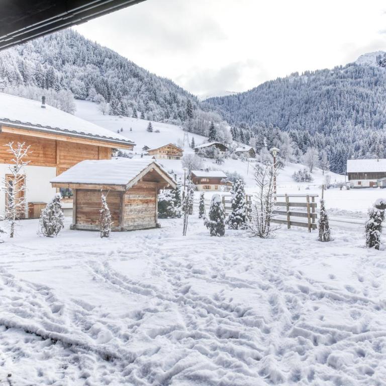 Grand chalet récent avec Jacuzzi, ski au pied - Chalet - 35