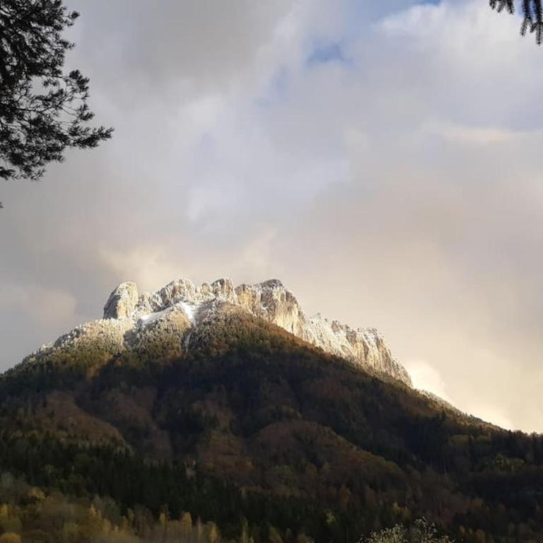 Chalet LES CLARINES - Chalet 2 Chambres - 14