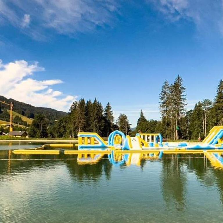 Grand chalet récent avec Jacuzzi, ski au pied - Chalet - 45