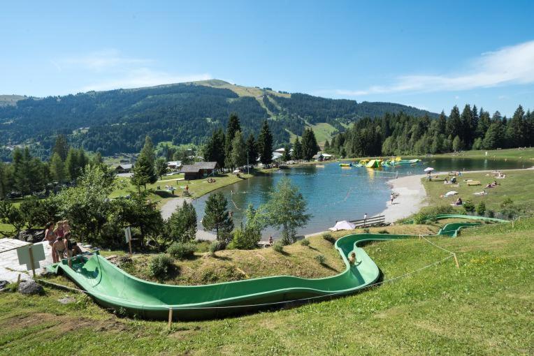 Grand chalet récent avec Jacuzzi, ski au pied - Chalet - 46