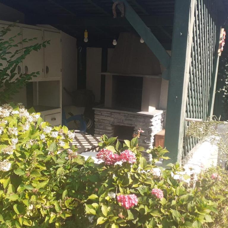 Il bosco - Appartamento Monolocale - 9