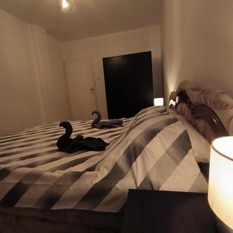 Apartman Zlatija - Apartman sa 2 Spavaće Sobe - 20