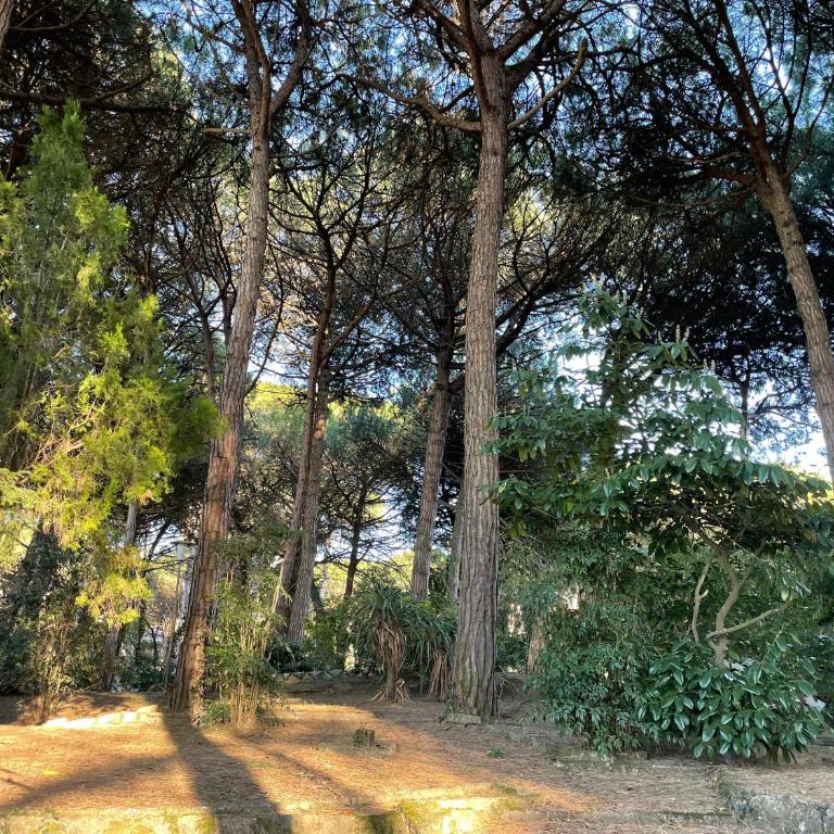 Appartamento VILLA ALBA nel cuore della Pineta - Appartamento con 2 Camere da Letto e Vista Piscina - 17
