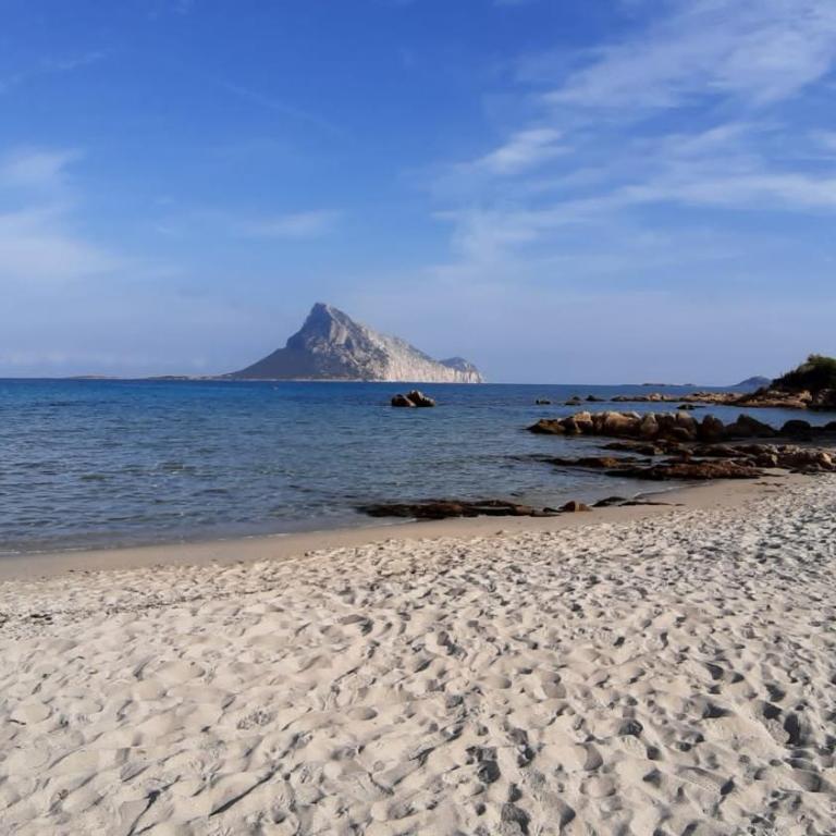 Raggio di sole - olbia - Appartamento con Terrazza - 10
