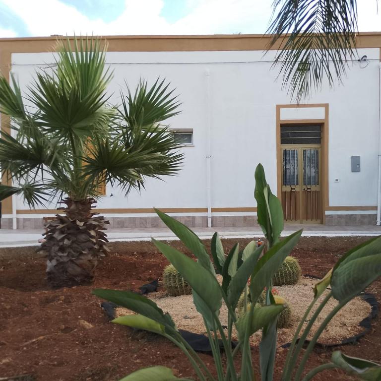 Casa Vacanza L'Agrumeto - Casa con 2 Camere da Letto - 12
