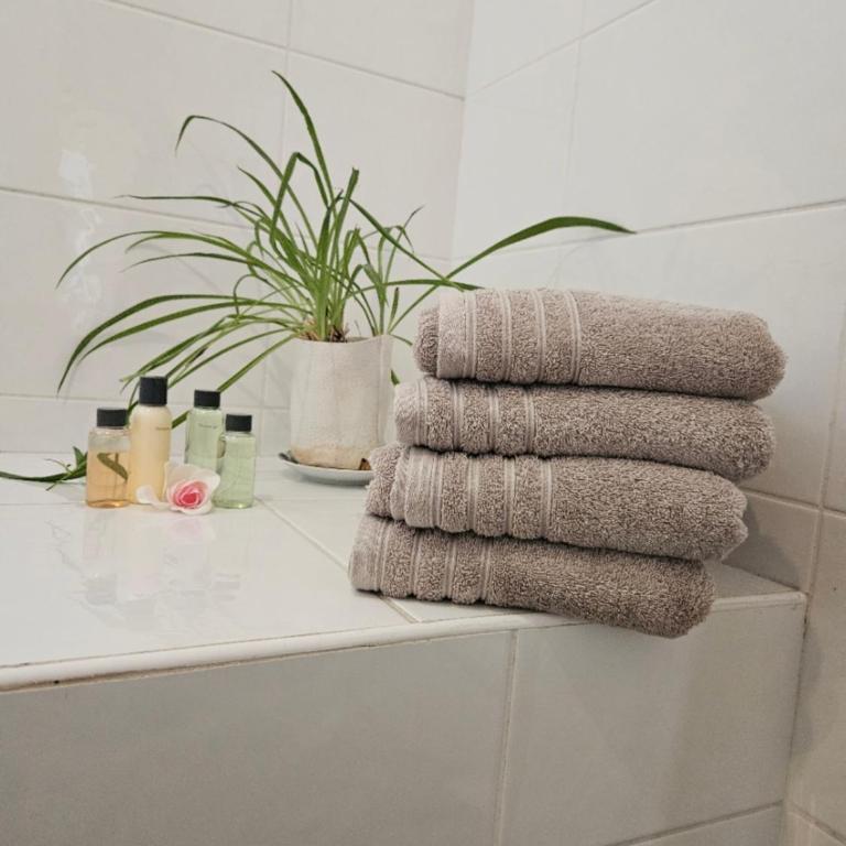 Charmant T2 à la Libération, Nice - Appartement 1 Chambre - 5