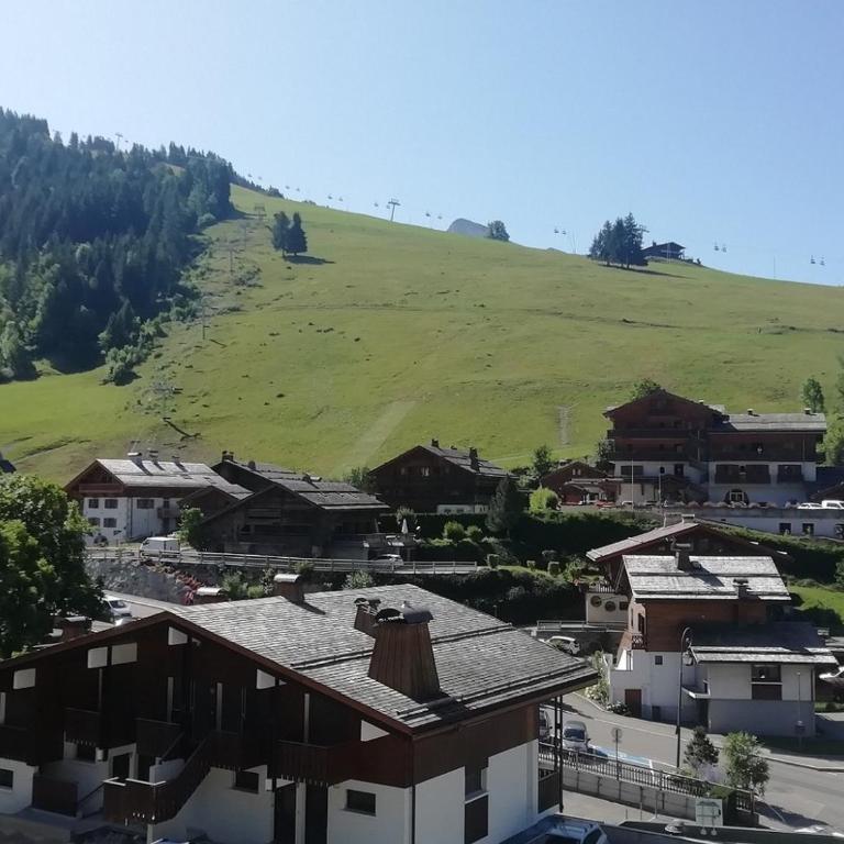 Duplex lumineux pour 6 pers. avec balcon – La Clusaz - FR-1-459-119 - Apartamento (6 adultos) - 13