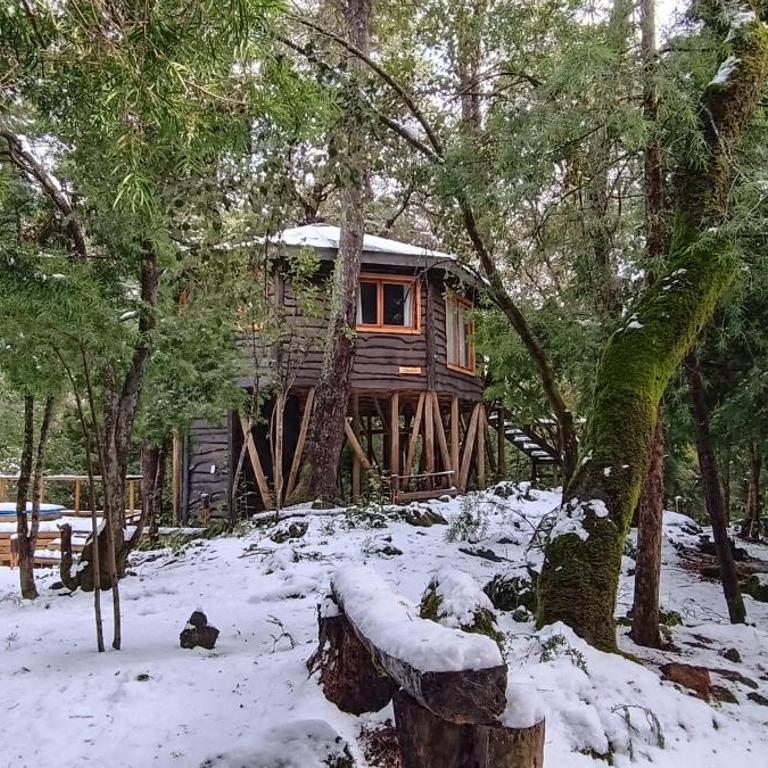 Cabañita Del Árbol - Superior Chalet - 1
