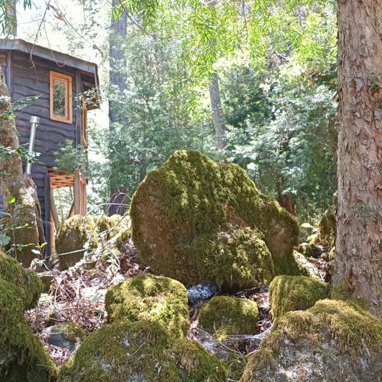 Cabañita Del Árbol - Superior Chalet - 18