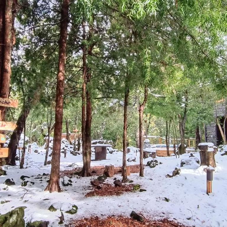 Cabañita Del Árbol - Superior Chalet - 25