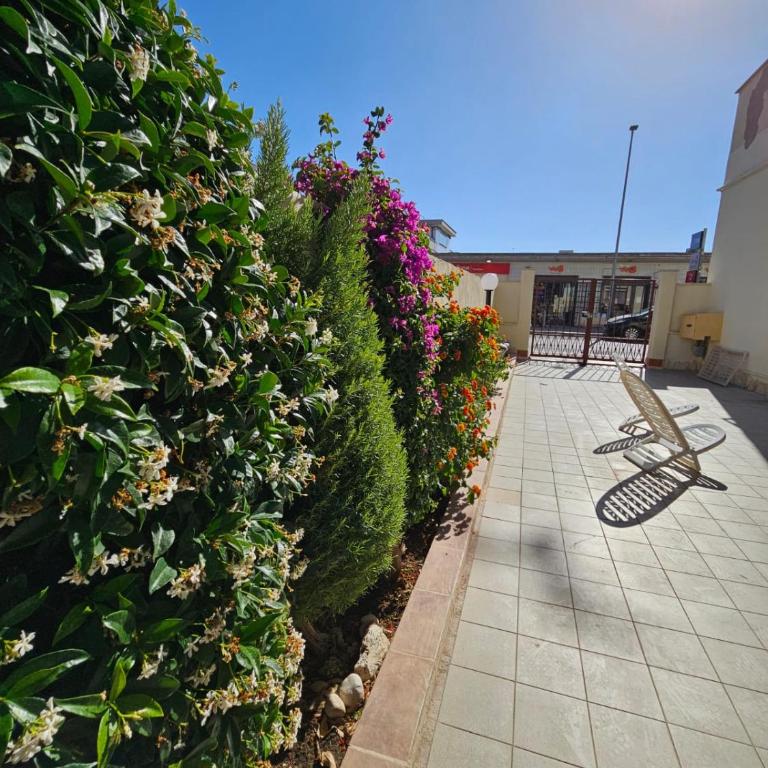 Bebo house Fiumicino - Appartamento con 1 Camera da Letto - 14