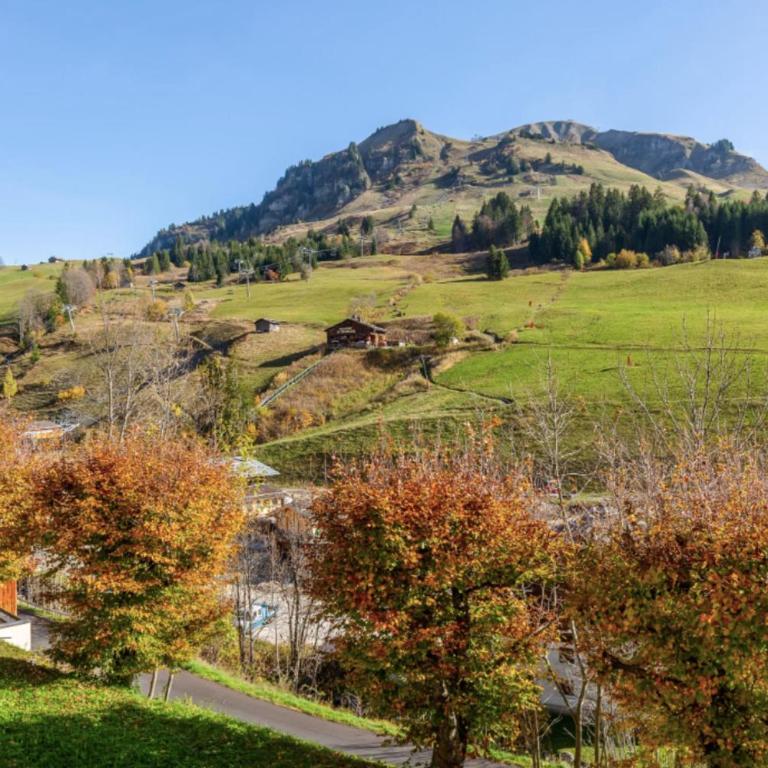 Appartement hyper centre face au domaine skiable - One-Bedroom Apartment with Balcony and Mountain View - 9