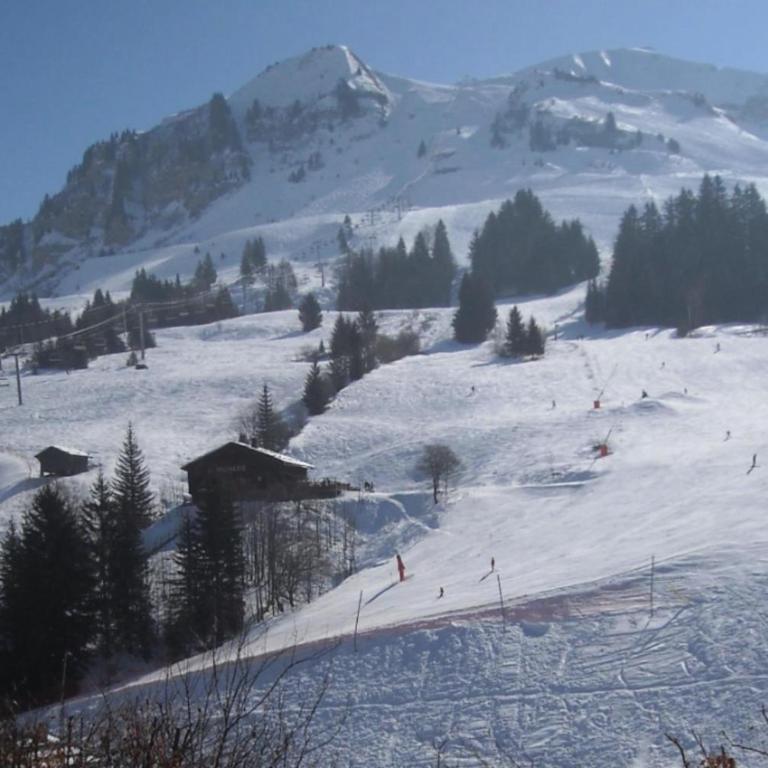 Appartement hyper centre face au domaine skiable - One-Bedroom Apartment with Balcony and Mountain View - 10