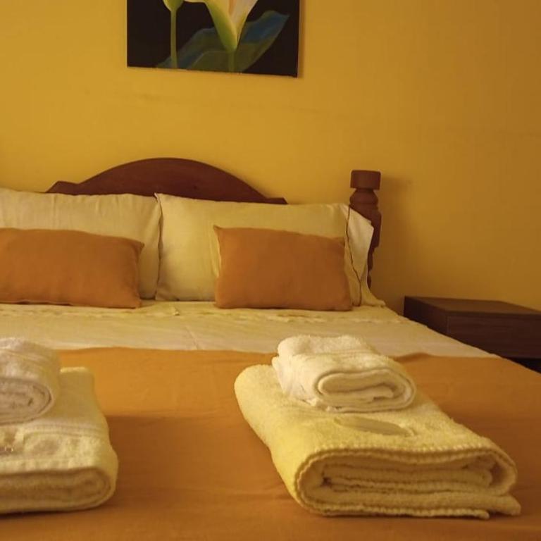Cordon del Velazco1 - One-Bedroom Standard Apartment - 12